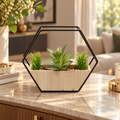 Geometric Hexagonal Planter with Wooden Box – Black